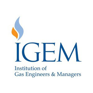 IGEM logo